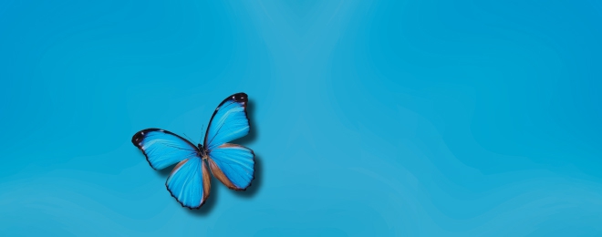 Werkblokken & werkboeken