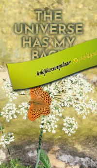 Magneet - The Universe has my back