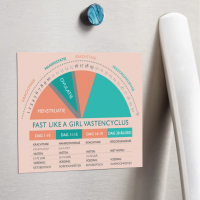 Fast like a girl magneet