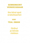 The Blind Spot - box met kaarten